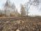 Участок 6,3 сот.. Фото 2.