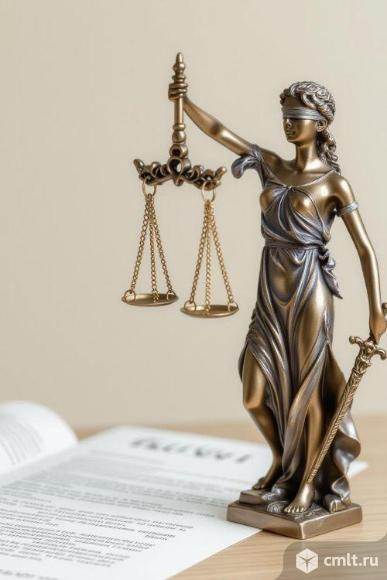 Защита чести, достоинства и деловой репутации для юридических лиц в Новосибирске. Фото 1.