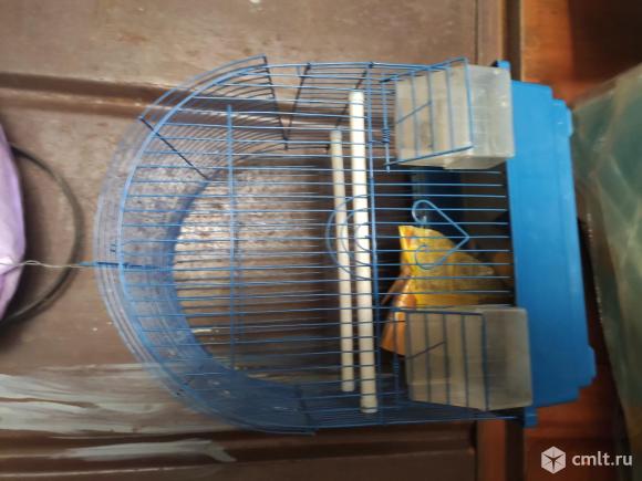 Продаю клетку для попугаев. Фото 1.