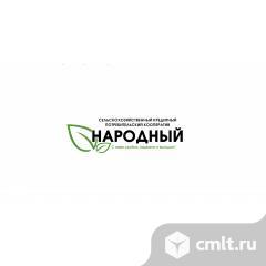 Руководитель обособленного подразделения. Фото 1.