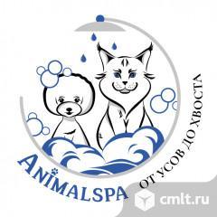 Администратор в ЭнимелСпа/AnimalSpa груминг. Фото 1.