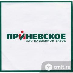 Грузчик. Фото 1.