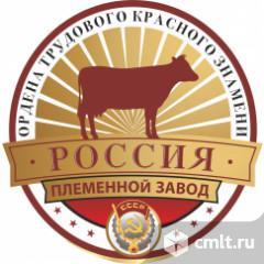 Рабочий по уходу за животными на производство. Фото 1.