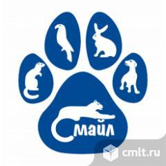 Ветеринарный Ассистент. Фото 1.