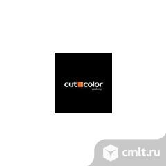 Менеджер по продажам онлайн-курсов. Фото 1.