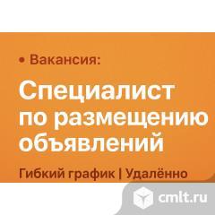 Специалист по размещению объявлений (удалённо). Фото 1.