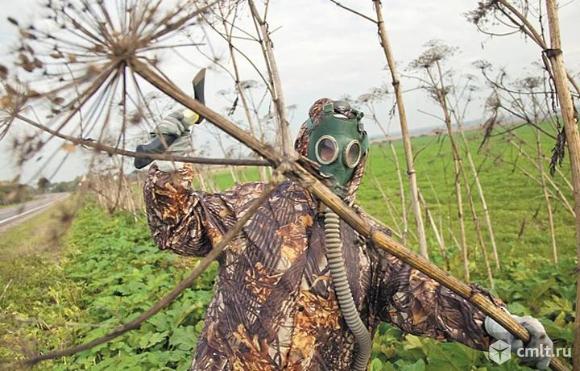 Разрушитель Лютый Гербицид сплошного Эффекта 10 л. Фото 1.