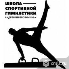 Тренер по спортивной гимнастике. Фото 1.
