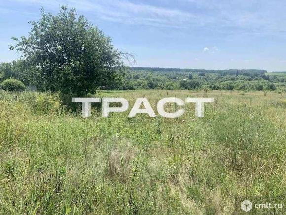 Участок 50 сот.. Фото 1.