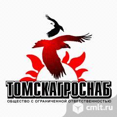 Товаровед-бухгалтер. Фото 1.