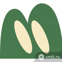 Повар кассир. Фото 1.