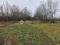 Участок 21,1 сот.. Фото 3.