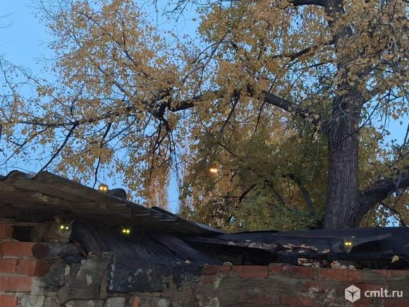 Котятам нужен дом. Фото 5.