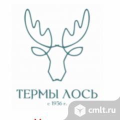 Главный инженер в Банно Термальный комплекс Лось. Фото 1.