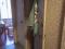 Продам 3-комн. квартиру 55 кв.м.. Фото 8.