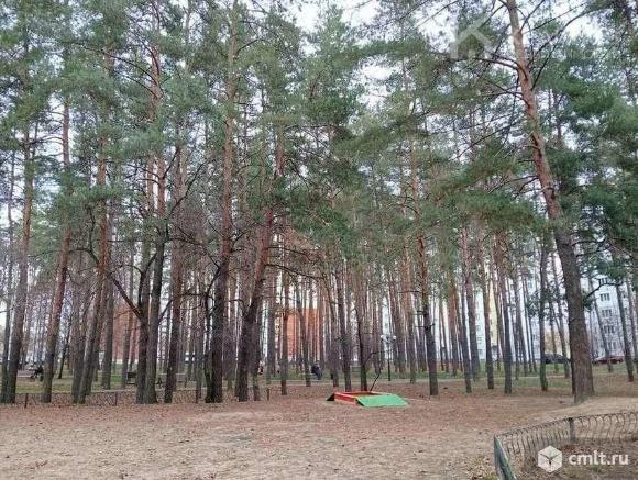 2-комнатная квартира 50,1 кв.м. Фото 20.