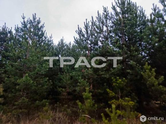 Участок 9 сот.. Фото 5.