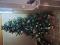 Продам искусственную ёлку. Фото 1.