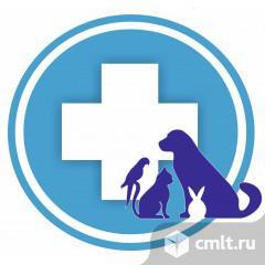 Ветеринарный врач. Фото 1.
