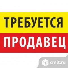 Продавец-консультант в магазин сантехники. Фото 1.