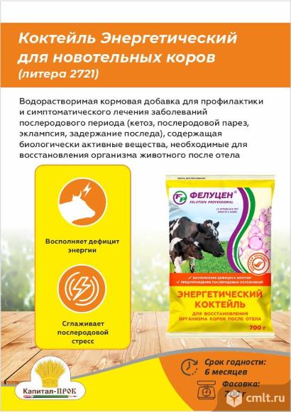 Энергетический коктейль для новотельных коров 700г. Фото 1.