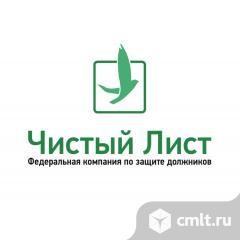 Менеджер отдела продаж (банкротство физ лиц). Фото 1.