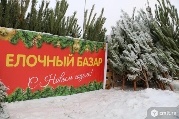 грузчик требуется