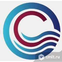 Директор интернет магазина. Фото 1.