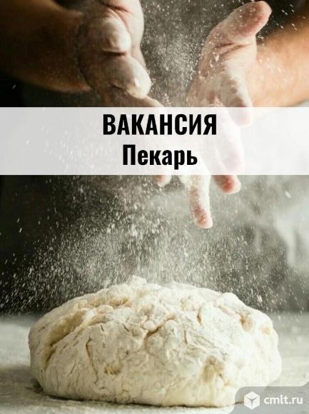 Требуется пекарь ул. Димитрова. Фото 1.
