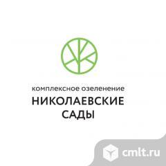 Ландшафтный дизайнер (Дендролог). Фото 1.