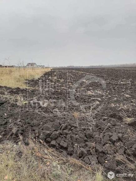 Участок 20 сот.. Фото 3.