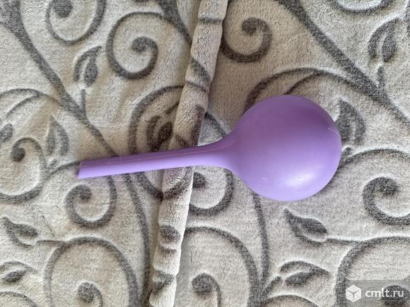 Фиалки без горшочка. Фото 3.