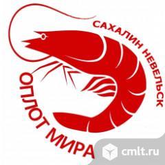 Мастер (сменный) по добыче рыбы. Фото 1.