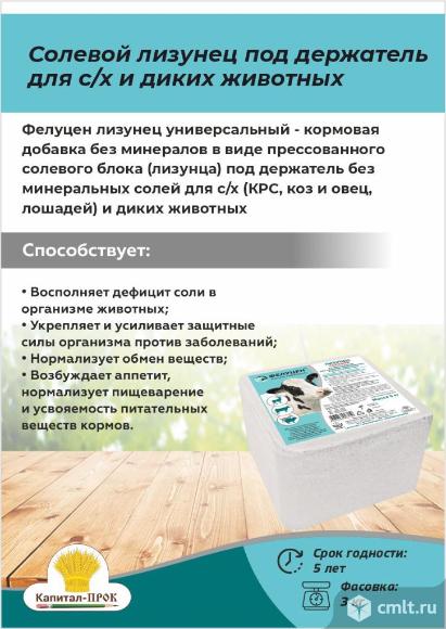 Солевой лизунец под держатель для с/х и диких животных (5кг). Фото 1.