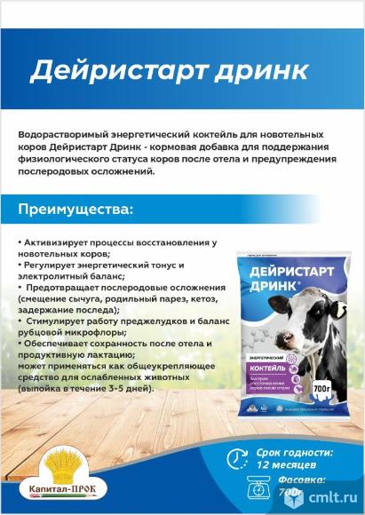 Коктейль Дейристарт Дринк для новотельных коров (700г). Фото 1.