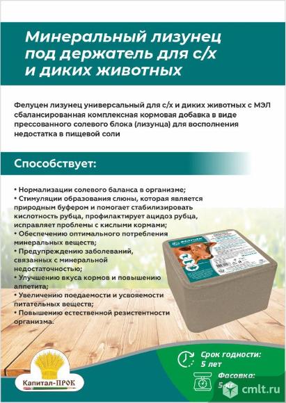 Минеральный лизунец под держатель для с/х и диких животных (5кг). Фото 1.