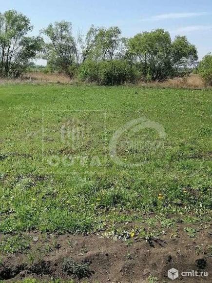 Участок 8 сот.. Фото 1.