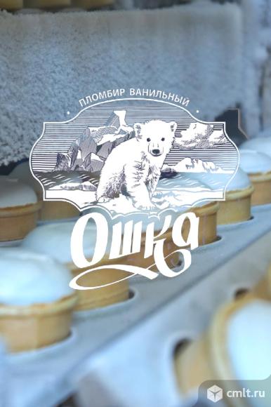 Водитель-экспедитор кат. В (с. Землянск). Фото 2.