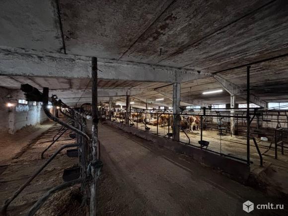 Аренда производства 3350 м2. Фото 1.