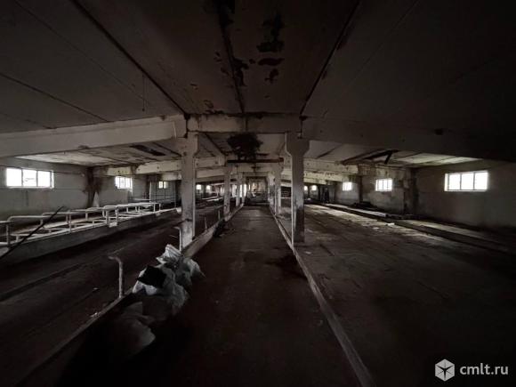 Аренда производства 1050 м2. Фото 1.