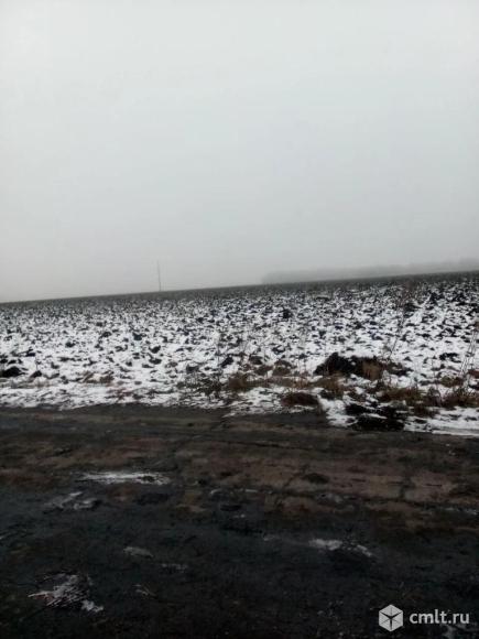 Дом 120 кв.м. Фото 4.