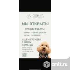 Грумер. Фото 1.