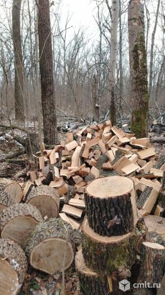 Дрова дубовые берёзовые. Фото 1.