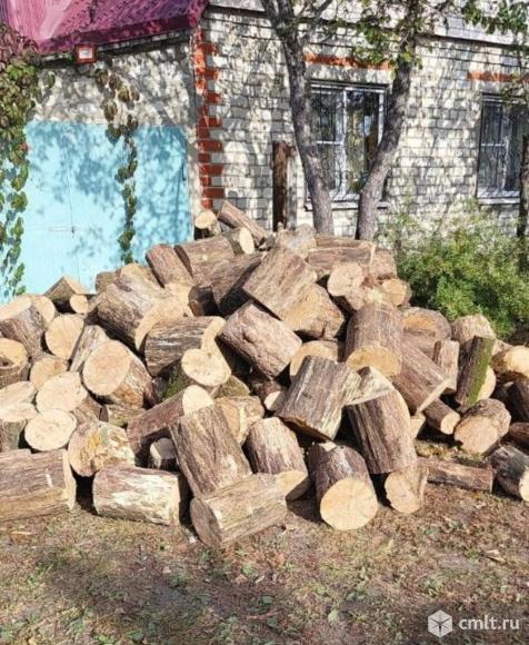 Дубовые дрова. Фото 1.