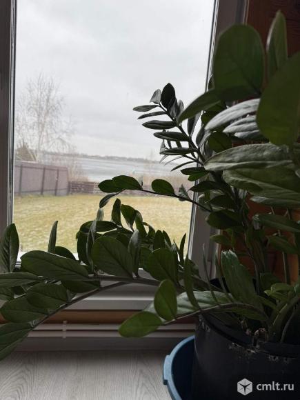 Коттедж посуточно 100 м2. Фото 15.