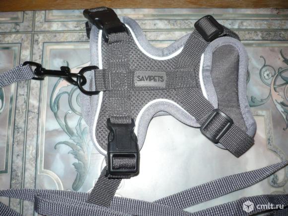 Принадлежности для выгула собак. Фото 2.