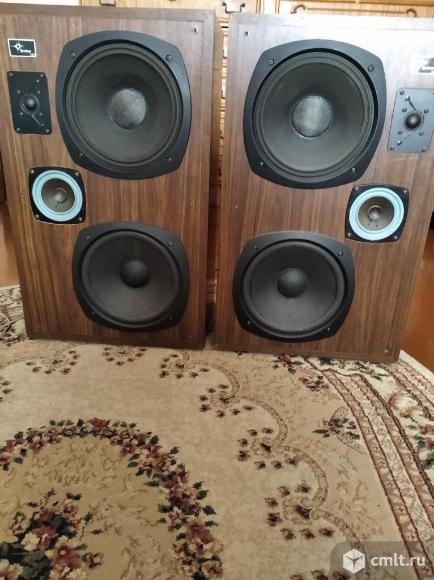 Акустическая система Peerless. Фото 1.