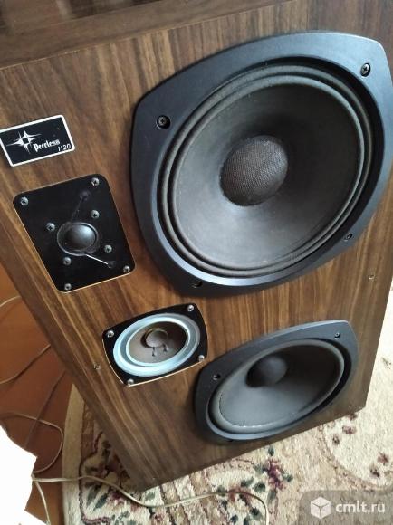 Акустическая система Peerless. Фото 5.