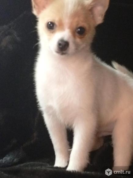 Малыши. Фото 1.