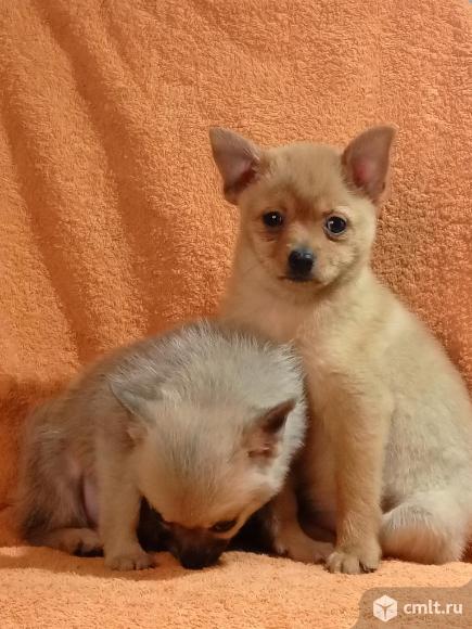 Малыши. Фото 6.